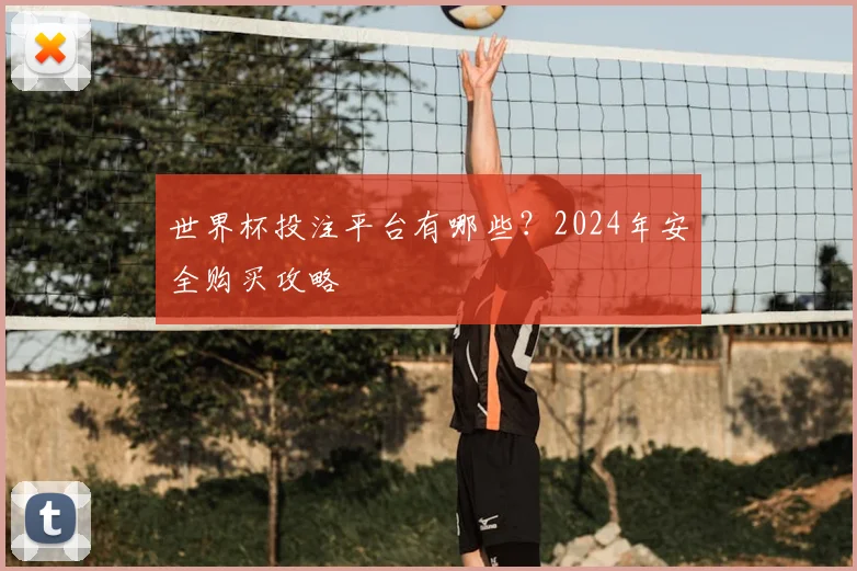 世界杯投注平台有哪些？2024年安全购买攻略