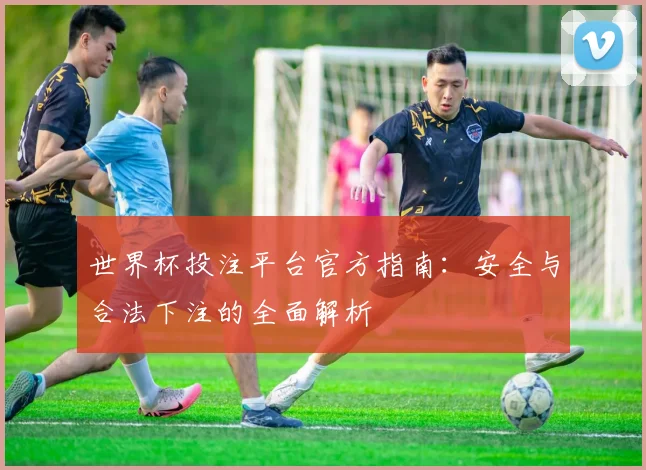 世界杯投注平台官方指南：安全与合法下注的全面解析