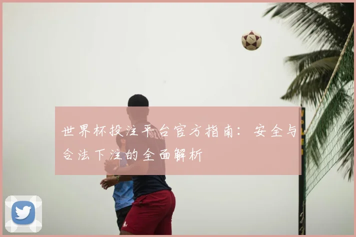 世界杯投注平台官方指南：安全与合法下注的全面解析