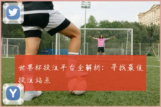 世界杯投注平台全解析：寻找最佳投注站点