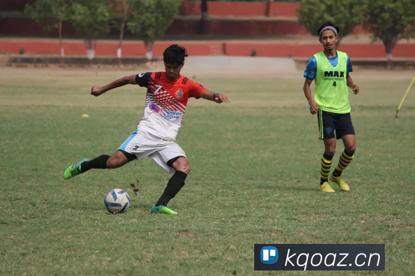 九游版官网入口平台生态图