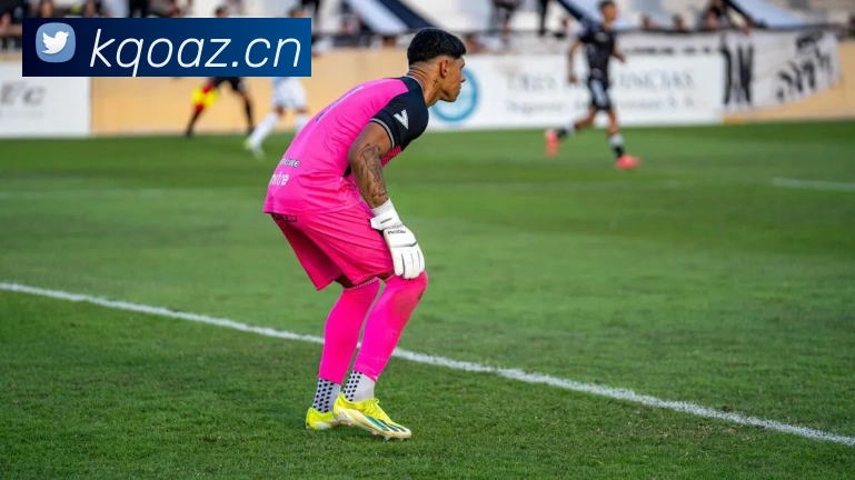 九游版官网入口APP 封面图